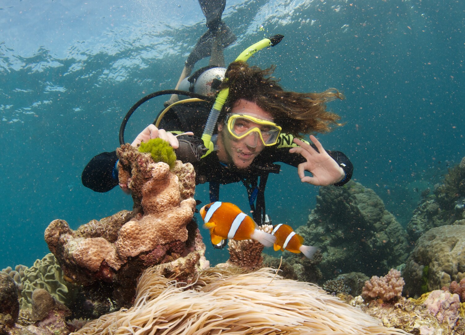 Scuba diving in the Great Barrier Reef, Australia reveals a vibrant underwater world filled with colorful coral, exotic marine life, and unforgettable ocean beauty
